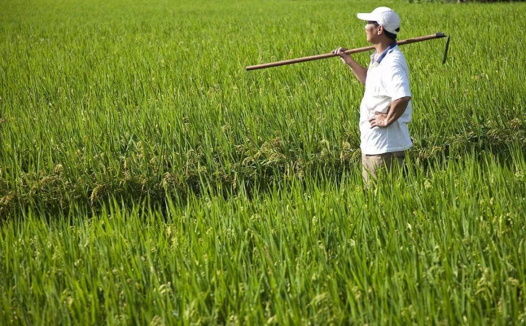 農(nóng)產(chǎn)品商標(biāo)注冊有什么好處？