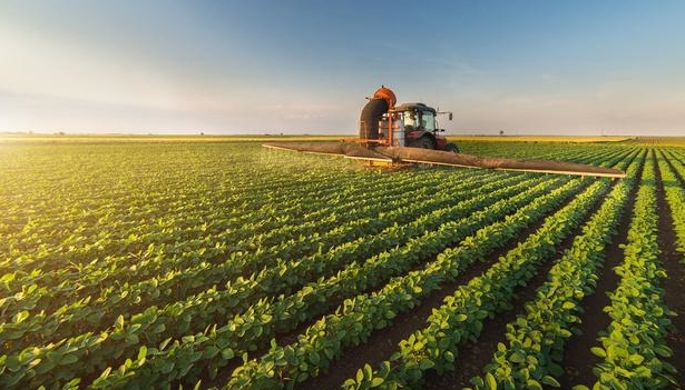 培育農(nóng)產(chǎn)品商標(biāo)，助力精準(zhǔn)扶貧