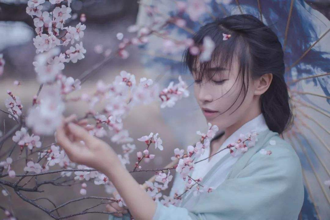 月收入千萬，網(wǎng)紅李子柒火了！背后公司注冊百余商標(biāo)！