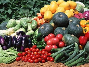 培育農(nóng)產(chǎn)品商標(biāo)，助力精準(zhǔn)扶貧